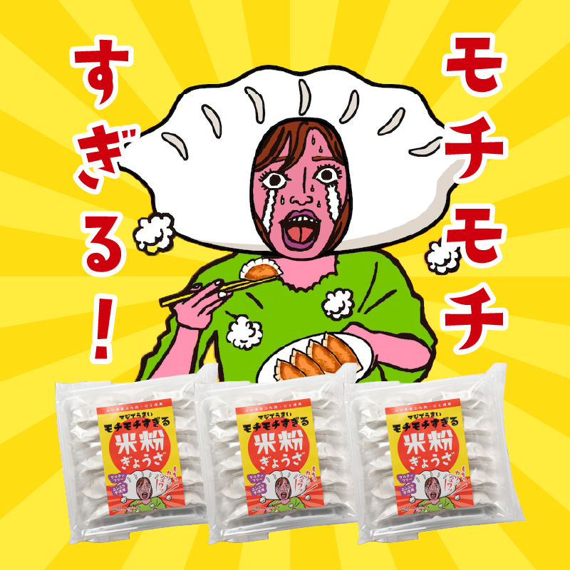 マジでうまい！モチモチすぎるニラ子の米粉ぎょうざ 大分県産豚肉・にら100%使用(ニラ醤油タレ付) 10個入り3パック