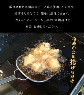 元祖おおいた唐揚げ　約2kg