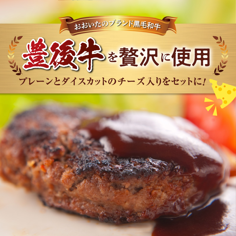 豊後牛ハンバーグ（プレーン・チーズ入り） 合計10個セット（合計約1kg）