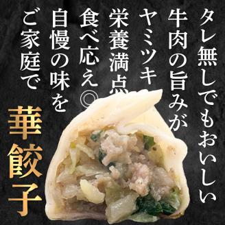 牛肉100％の餃子　華永の華餃子　10個入り2パック