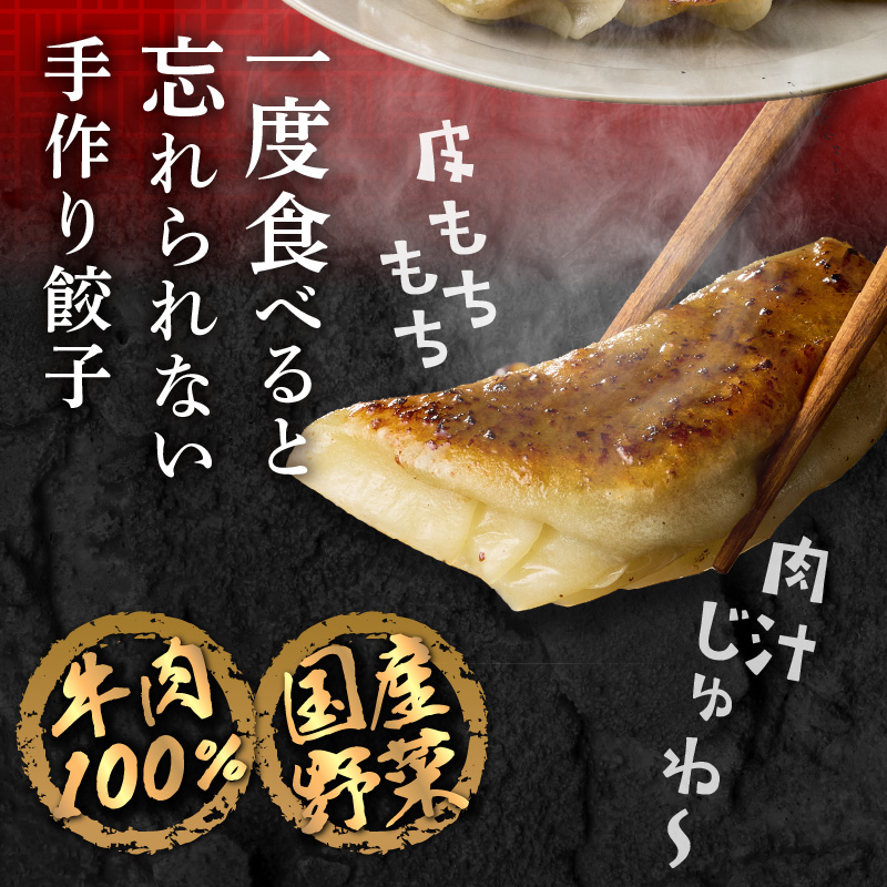 華永餃子セットD（華×2、かぼす×1） 計34個