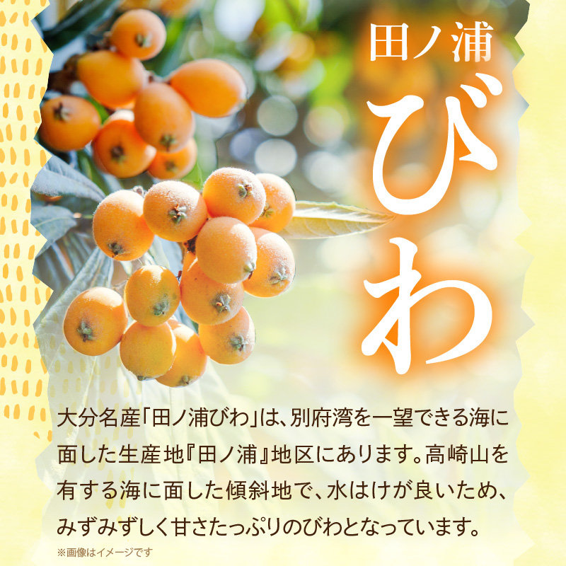 【期間限定】田ノ浦びわ 約2.16kg(270g×8パック）
