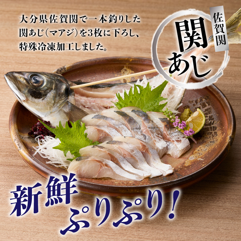 関冷刺　関あじ（大）