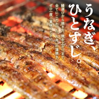入舟 うなぎ 蒲焼き