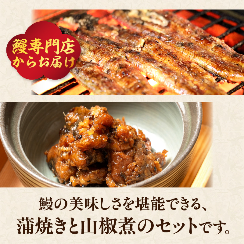 うなぎ料理入舟 蒲焼3尾＋鰻山椒煮