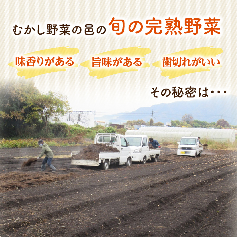 むかし野菜の邑　大分市産直　自然栽培の野菜セット