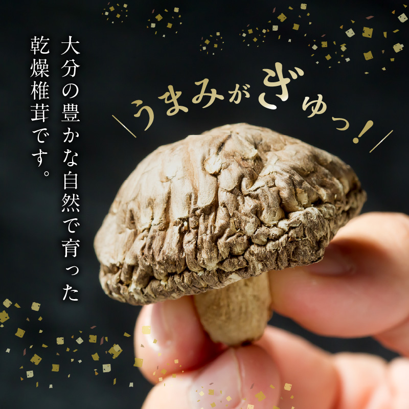大分産乾しいたけ