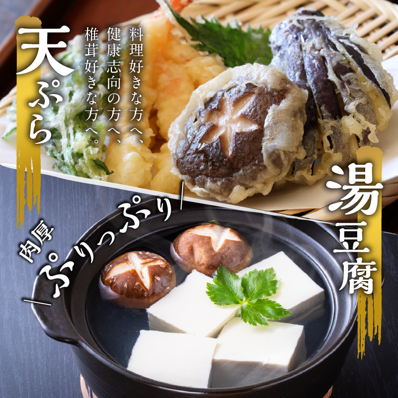 大分産乾しいたけと豊後きのこカレーと豊後きのこめし