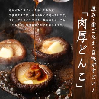 原木乾椎茸　どんこ5袋セット（合計500ｇ）