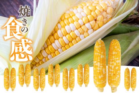 焼きの食感 こげめの無い焼きとうもろこし