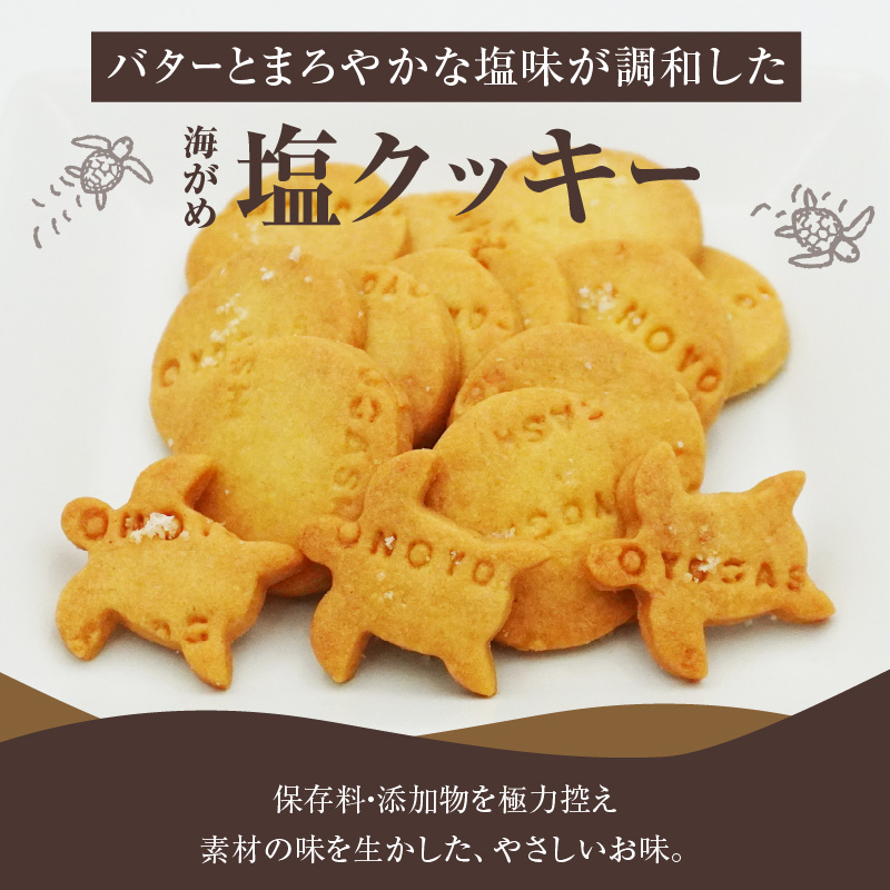 海がめ塩クッキー充実BOX (57枚+子がめクッキー3枚) 箱入り