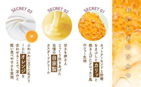 瞬間冷凍 ベルクール 焼きたてシュークリーム 10個セット