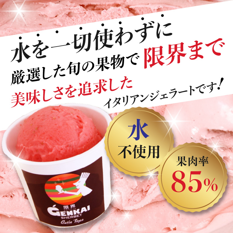 限界シャーベット　6個セット