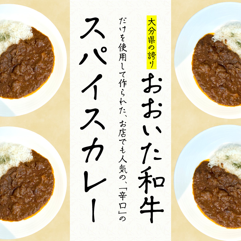 おおいた和牛 スパイスカレー 2袋