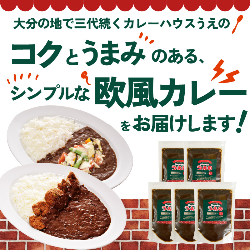 九州クラフト うえの焙煎ビーフカレー 冷蔵 5袋