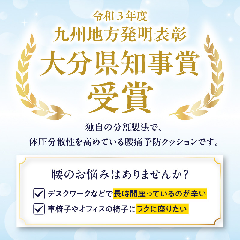 腰痛予防に！体圧分散 フォーケアクッションBasic　厚さ6㎝