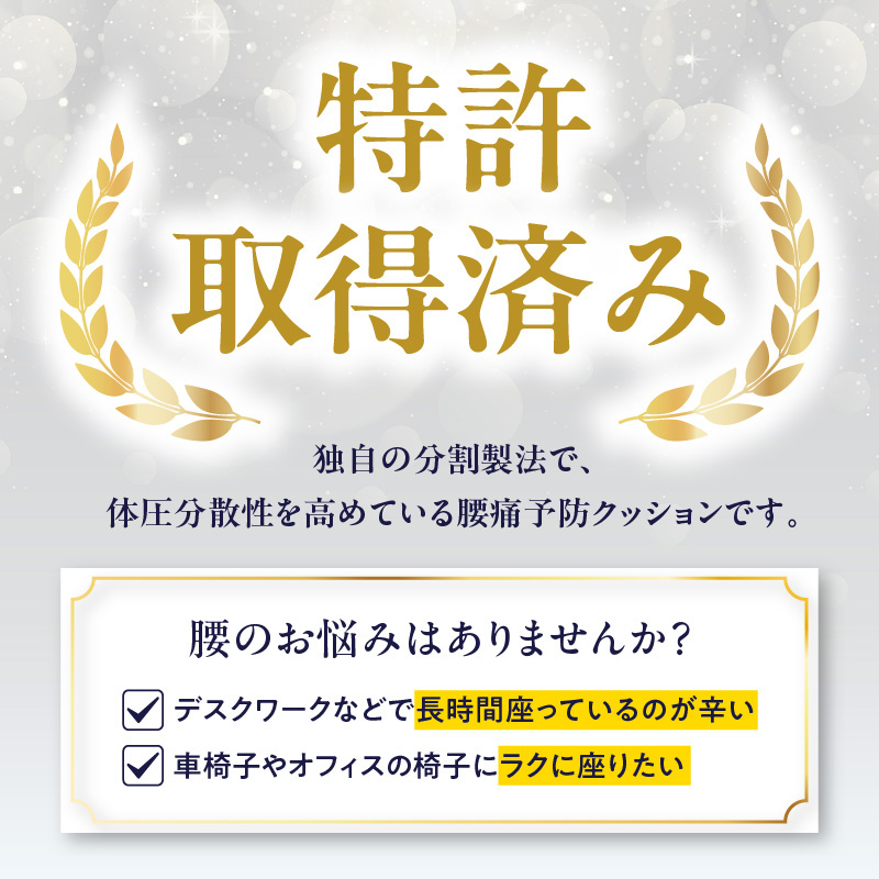 腰痛予防に！体圧分散 フォーケアクッション Proプラス