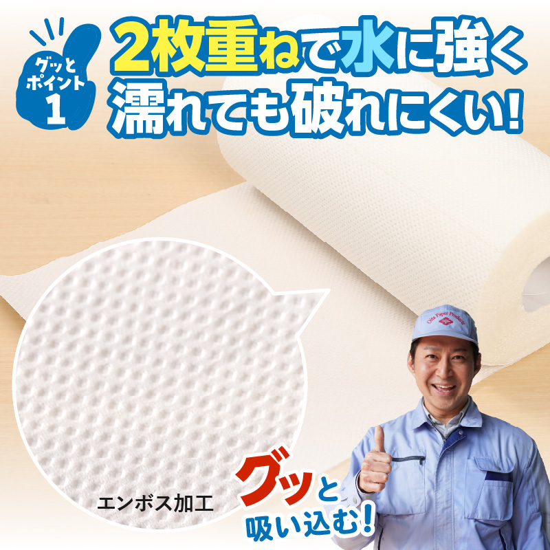 グッと吸い込むキッチンタオル100カット（4ロール×12パック）