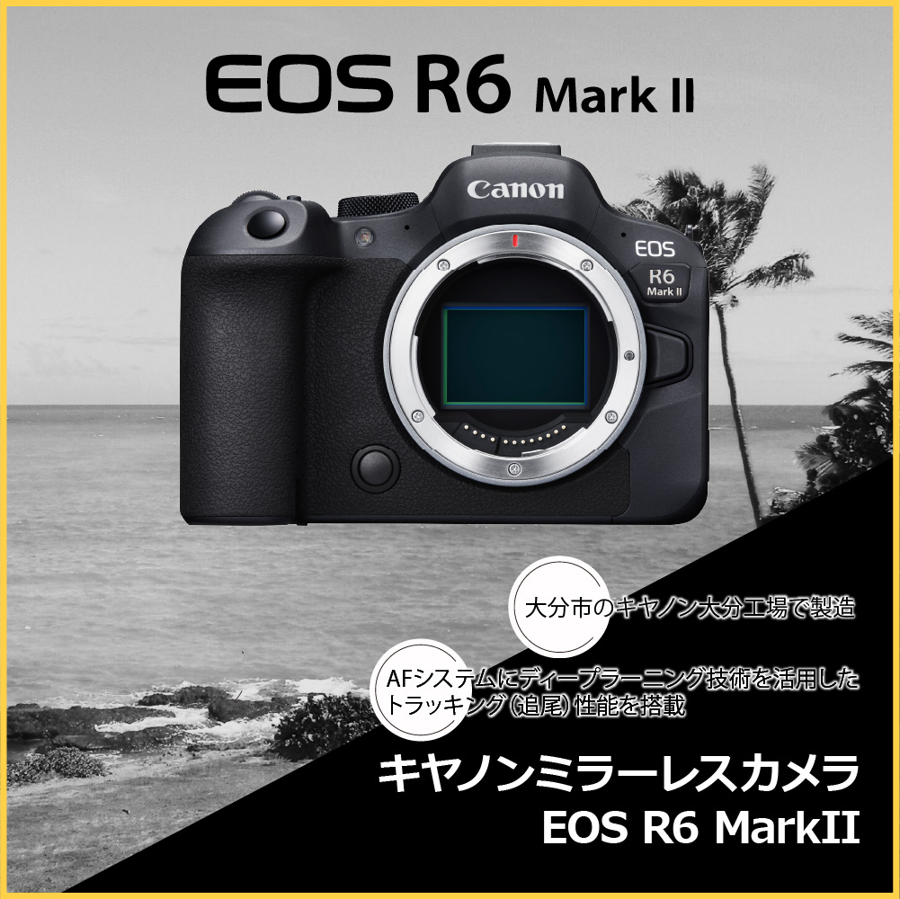 キヤノンミラーレスカメラ EOS R6 Mark Ⅱ・RF24-105 IS STM レンズキット CANON Canon キヤノン