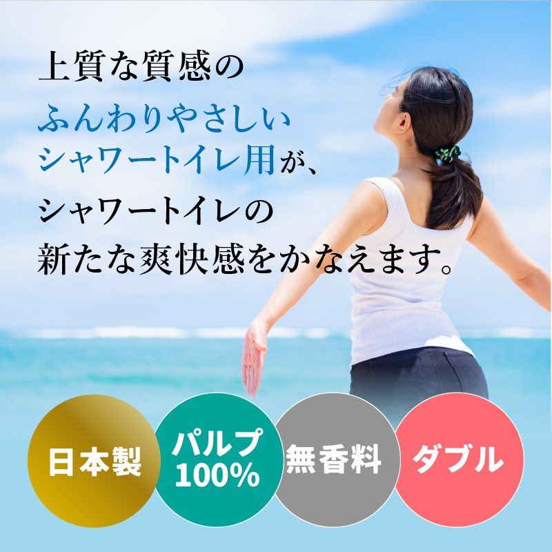 ふんわりやさしい 吸水力３倍シャワートイレ用（12ロール×6パック 計 72ロール）ダブル 1ロール25ｍ