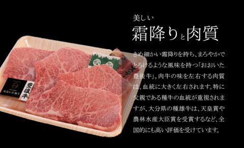 百年の恵 「おおいた和牛」 カルビステーキ約400g