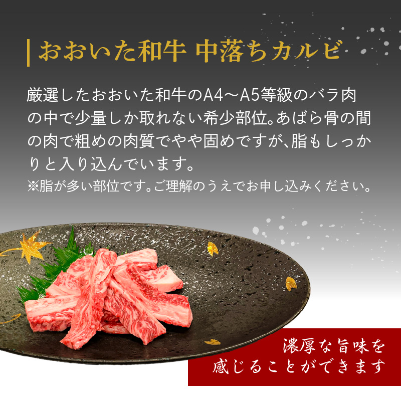 厳選A4～A5等級 おおいた和牛 中落ちカルビ 500g