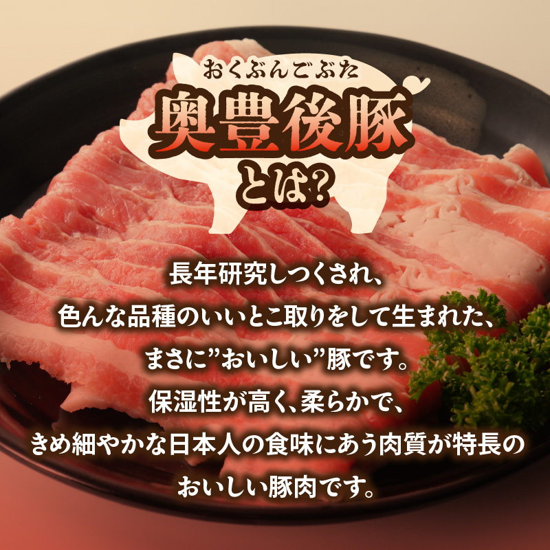 大分県産 奥豊後豚の丼セット 計7パック