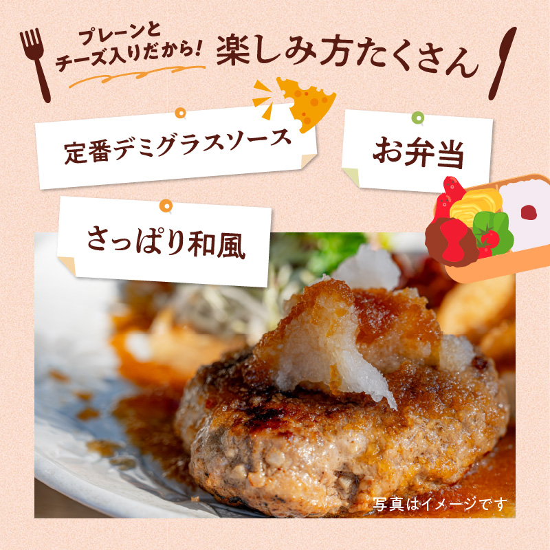 豊後牛ハンバーグ（プレーン・チーズ入り） 合計10個セット（合計約1kg）