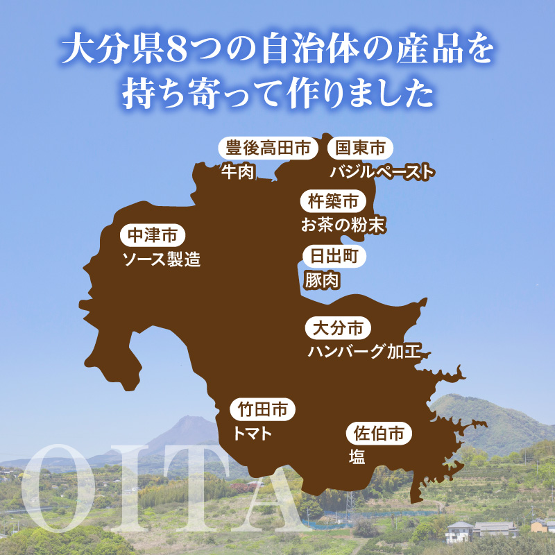 大分の恵みハンバーグ約1.6㎏（約160g×10個）