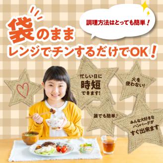 デミグラスハンバーグ・和風おろしハンバーグセット各160g×6個