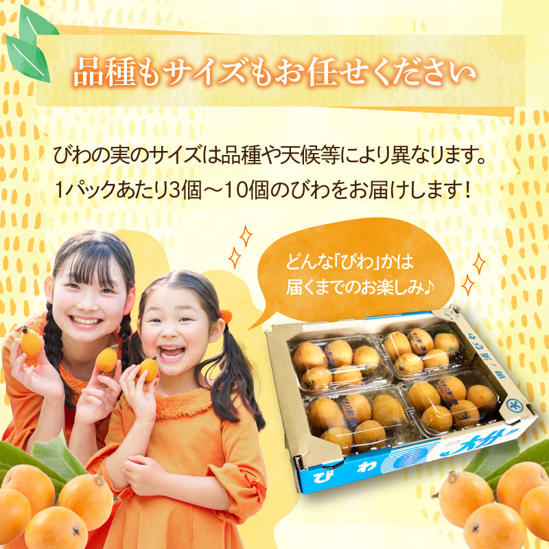 【期間限定】田ノ浦びわ 約2.16kg(270g×8パック）