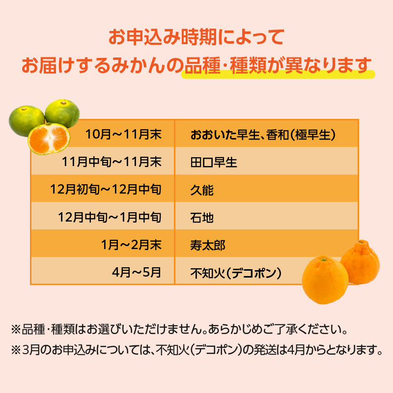 森﨑農園のこだわりみかん 約5kg 極早生～ 早生～蔵出しまで