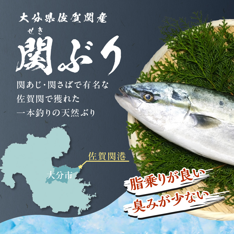 関ぶりの刺し身（柵状）　約600g