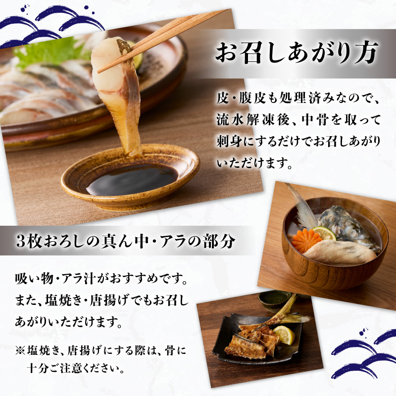 関冷刺　関あじ（大）