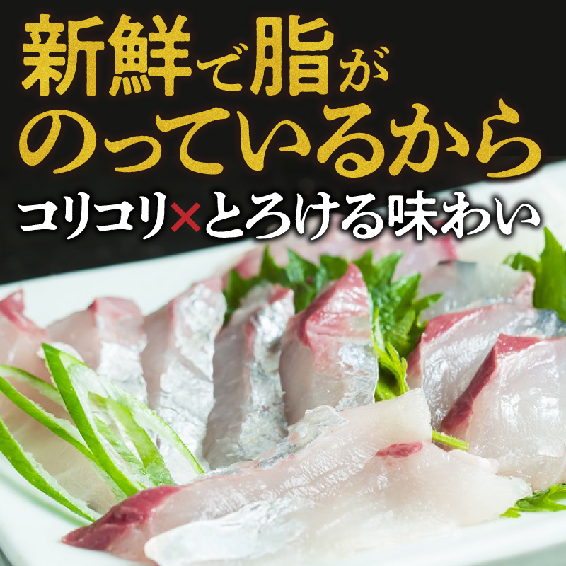 関あじ（鮮魚セット）2尾