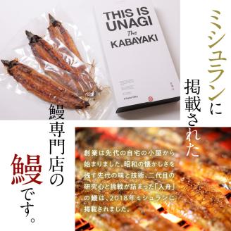 入舟 うなぎ 蒲焼き