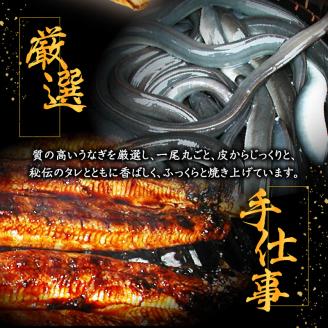 うなぎの幸栄　うなぎ竹皮蒸し　3パック