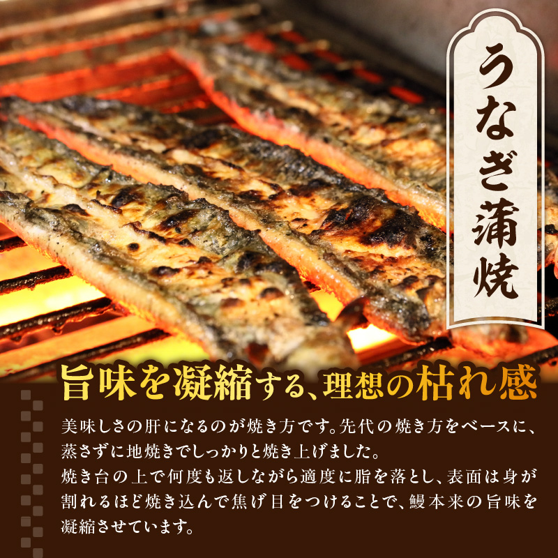 うなぎ料理入舟 蒲焼3尾＋鰻山椒煮