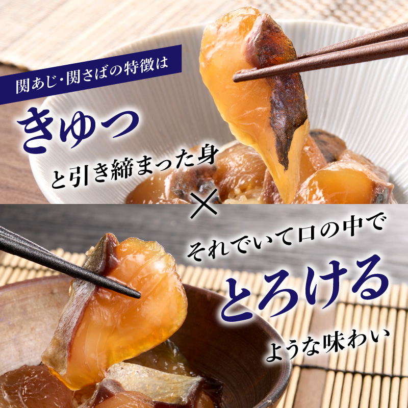 関あじ・関さばりゅうきゅうパック