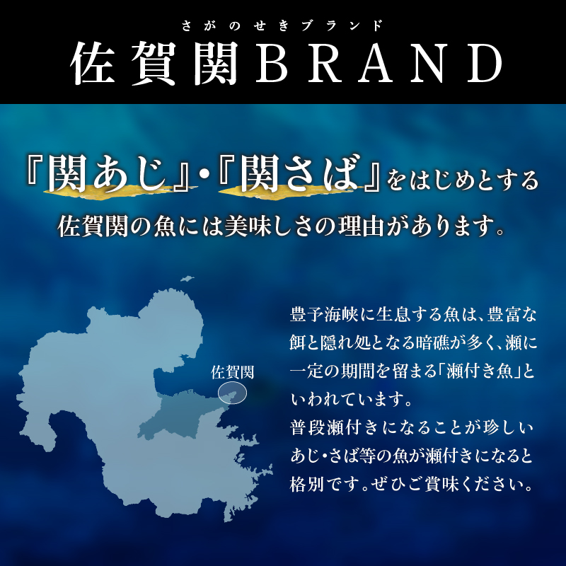 関のりゅうきゅうセット