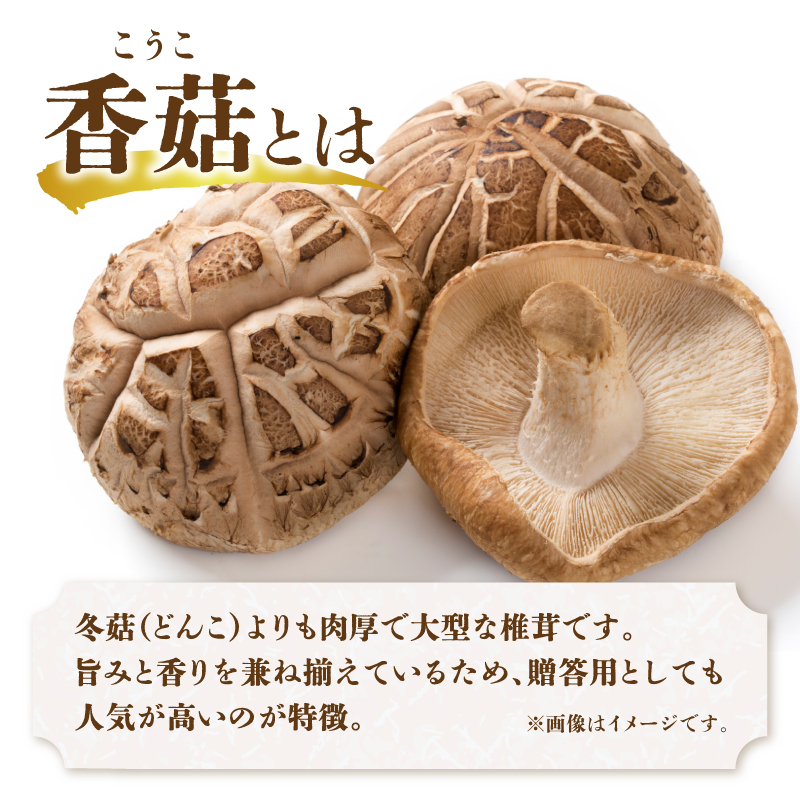 大分県産椎茸　香菇　逸品　IP-A