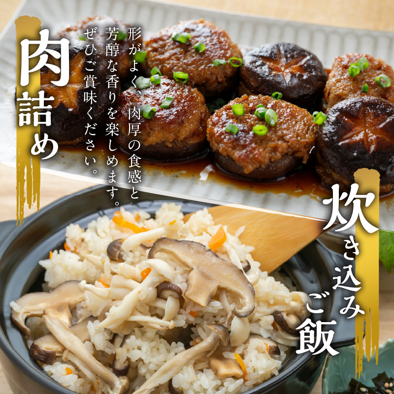 大分産乾しいたけと豊後きのこカレーと豊後きのこめし