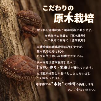 原木乾椎茸　特撰上どんこ 200ｇ