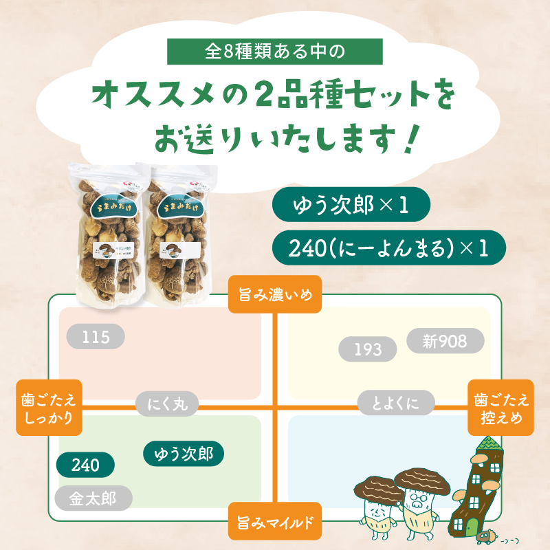 大分産乾しいたけ（うまみだけ） 80グラム×2種