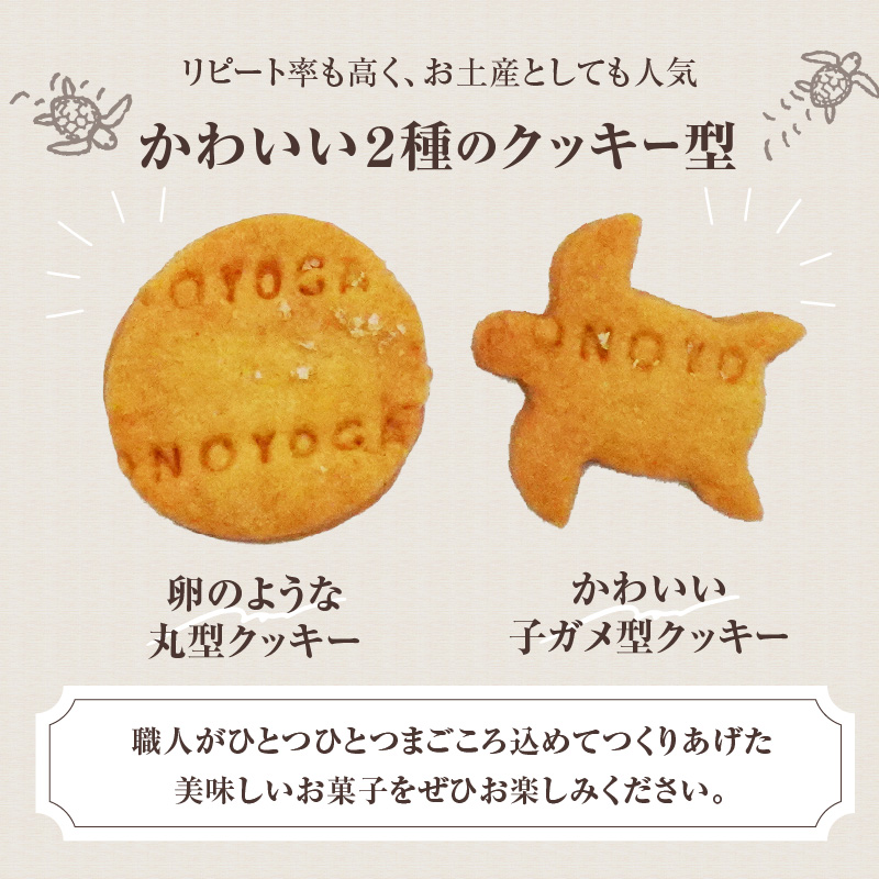 海がめ塩クッキー充実BOX (57枚+子がめクッキー3枚) 箱入り