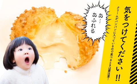 瞬間冷凍 ベルクール 焼きたてシュークリーム 10個セット