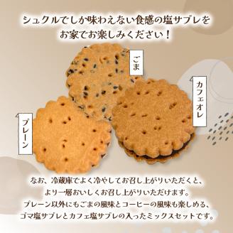 大分銘菓 塩サブレ ミックス　10個入り