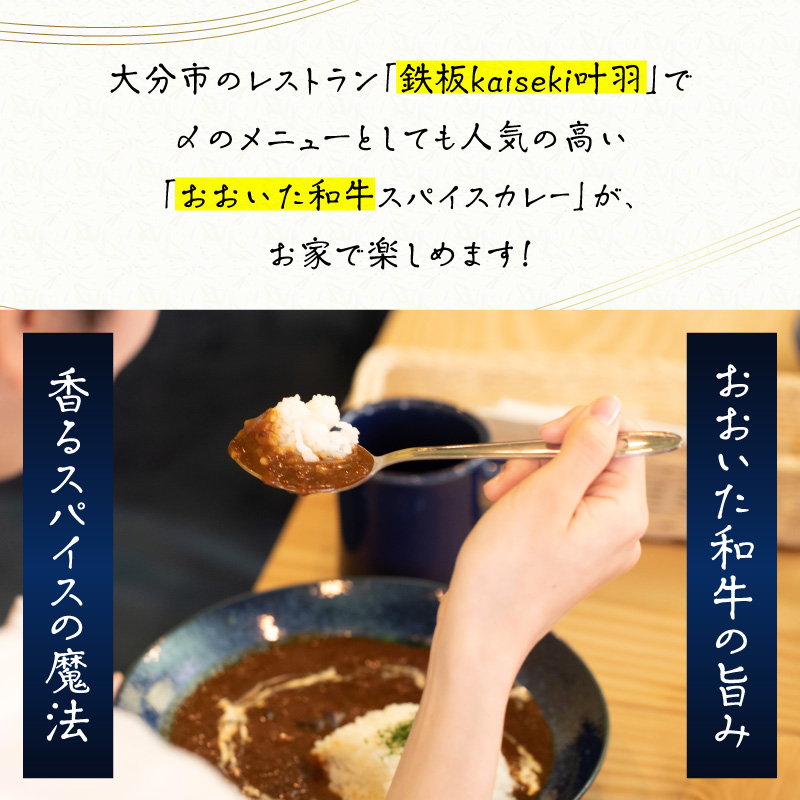 おおいた和牛 スパイスカレー 4袋