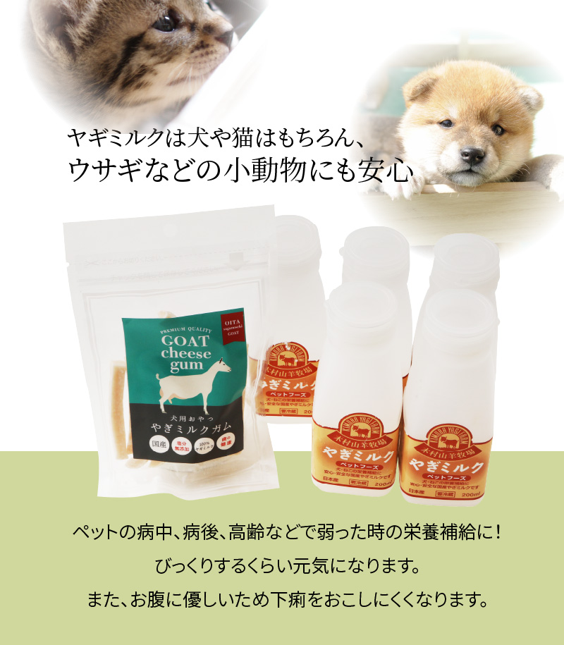 ワンちゃん、ネコちゃんの大好きなヤギミルク5本と、やぎミルクチーズ（ガムタイプ）