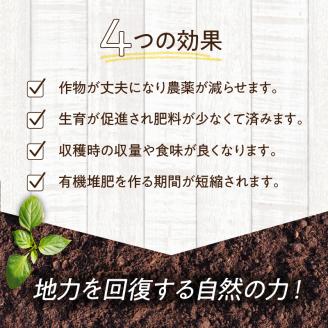 植物活性材　みみっこmini＋みみっこタスカルファイターF（原液） 2 種類セット